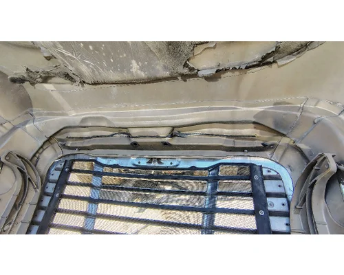 FREIGHTLINER Cascadia 125 Hood