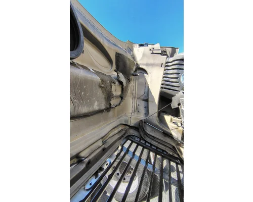 FREIGHTLINER Cascadia 125 Hood