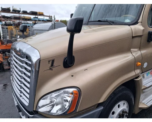 FREIGHTLINER Cascadia 125 Hood