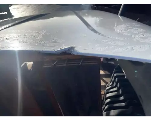 FREIGHTLINER Cascadia 125 Hood