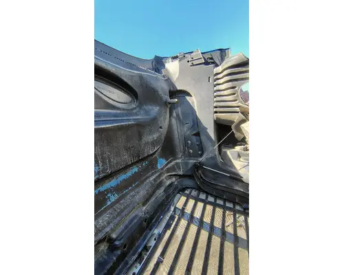 FREIGHTLINER Cascadia 125 Hood