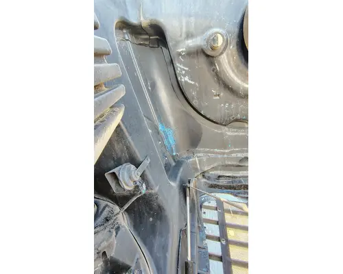 FREIGHTLINER Cascadia 125 Hood