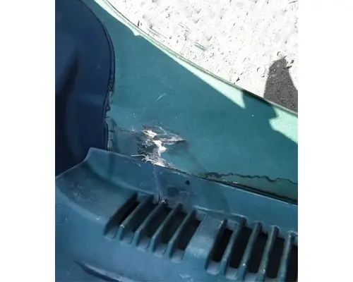 FREIGHTLINER Cascadia 125 Hood