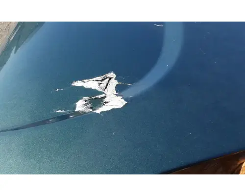 FREIGHTLINER Cascadia 125 Hood