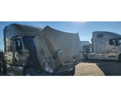 FREIGHTLINER Cascadia 125 Hood