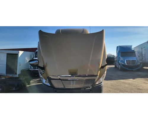 FREIGHTLINER Cascadia 125 Hood