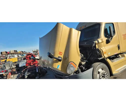 FREIGHTLINER Cascadia 125 Hood