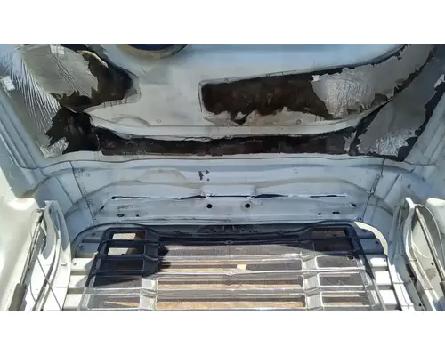 FREIGHTLINER Cascadia 125 Hood