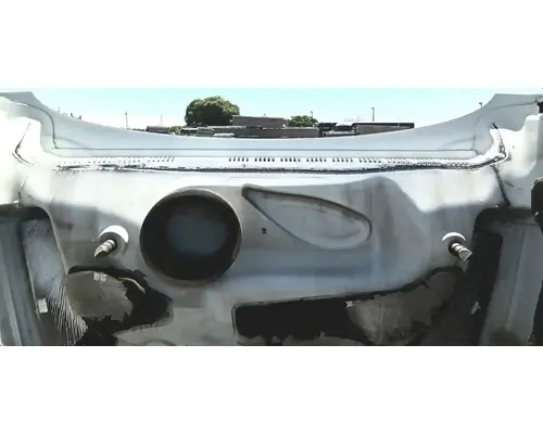 FREIGHTLINER Cascadia 125 Hood