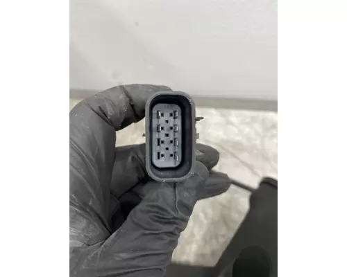 FREIGHTLINER Cascadia 125 Mirror (Side View)