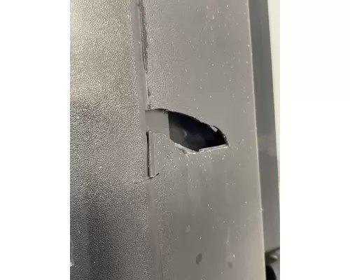FREIGHTLINER Cascadia 125 Mirror (Side View)