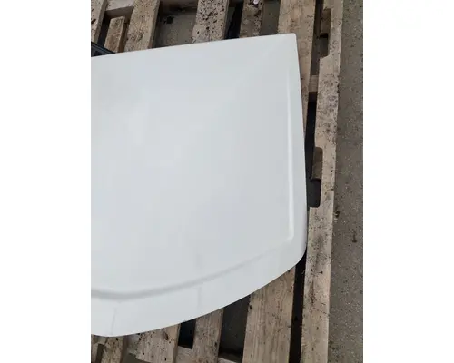 FREIGHTLINER Cascadia 125 Roof Assembly