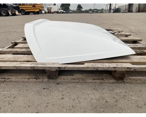 FREIGHTLINER Cascadia 125 Roof Assembly