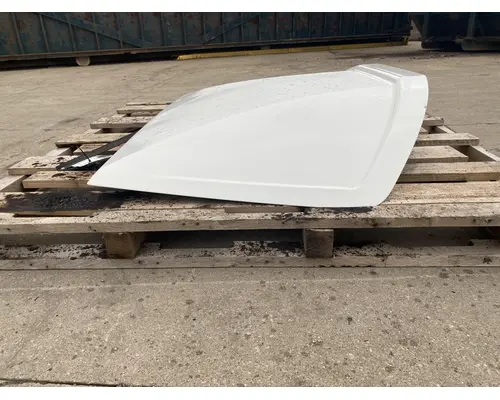FREIGHTLINER Cascadia 125 Roof Assembly