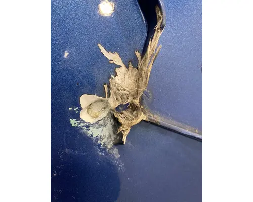 FREIGHTLINER Cascadia 125 Sleeper Fairing