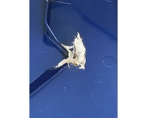 FREIGHTLINER Cascadia 125 Sleeper Fairing