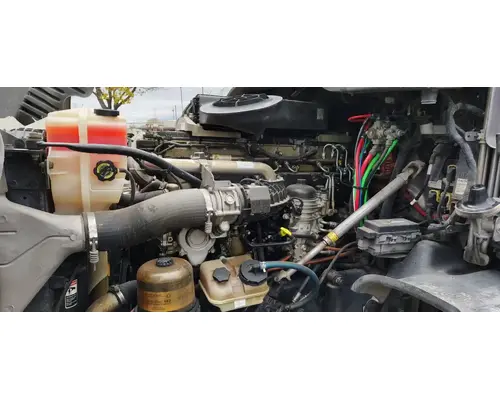FREIGHTLINER Cascadia 125 Vehicle For Sale