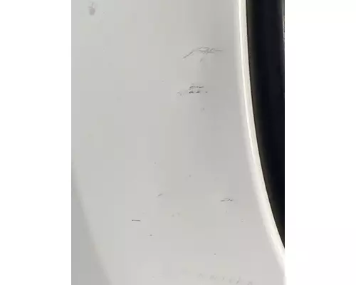 FREIGHTLINER Cascadia 126 Door Assembly, Front