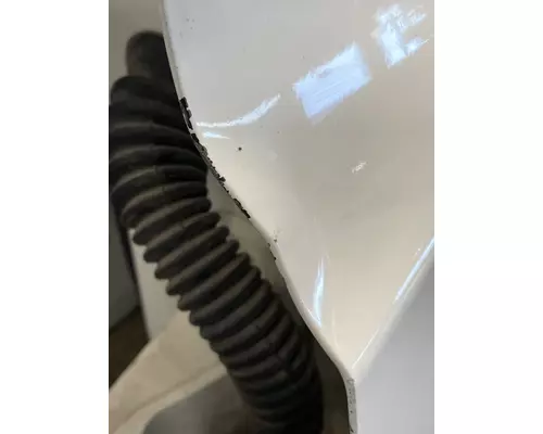 FREIGHTLINER Cascadia 126 Door Assembly, Front