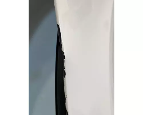 FREIGHTLINER Cascadia 126 Door Assembly, Front