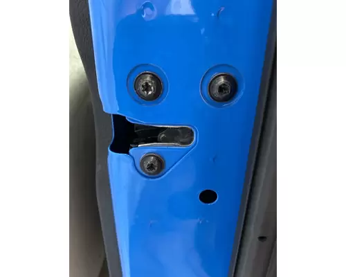 FREIGHTLINER Cascadia 126 Door Assembly, Front