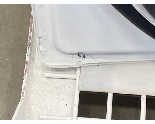 FREIGHTLINER Cascadia 126 Door Assembly, Front