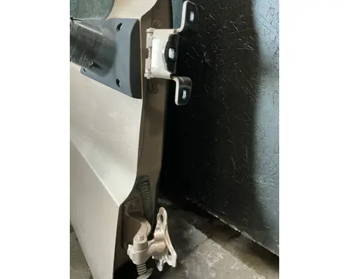 FREIGHTLINER Cascadia 126 Door Assembly, Front