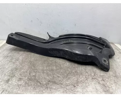 FREIGHTLINER Cascadia 126 Fender Extension