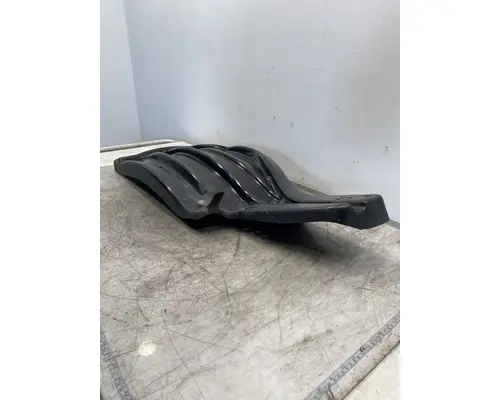 FREIGHTLINER Cascadia 126 Fender Extension