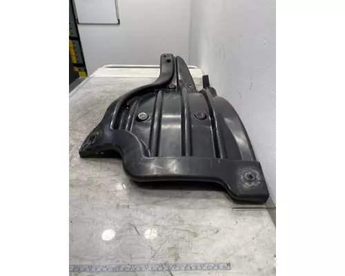 FREIGHTLINER Cascadia 126 Fender Extension