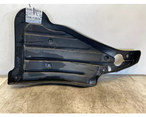 FREIGHTLINER Cascadia 126 Fender Extension
