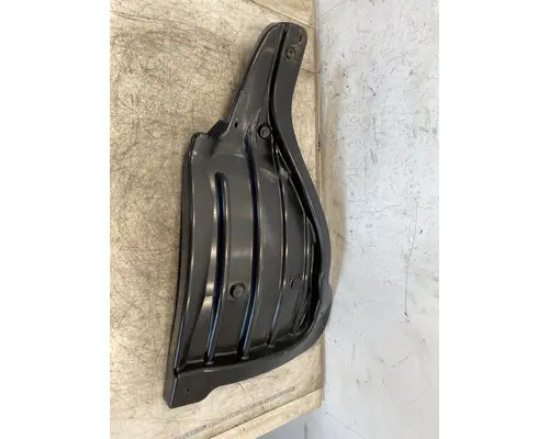 FREIGHTLINER Cascadia 126 Fender Extension