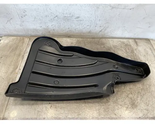 FREIGHTLINER Cascadia 126 Fender Extension