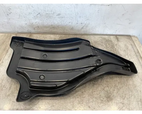 FREIGHTLINER Cascadia 126 Fender Extension