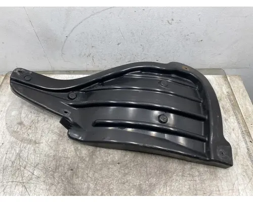 FREIGHTLINER Cascadia 126 Fender Extension