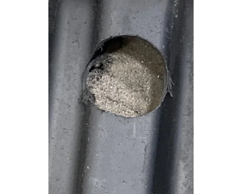 FREIGHTLINER Cascadia 126 Fender Extension