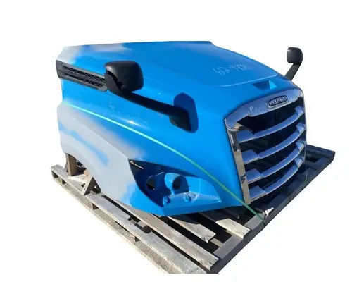 FREIGHTLINER Cascadia 126 Hood