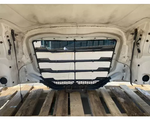 FREIGHTLINER Cascadia 126 Hood