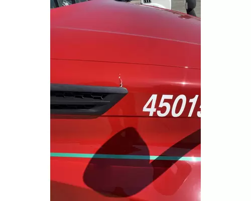 FREIGHTLINER Cascadia 126 Hood