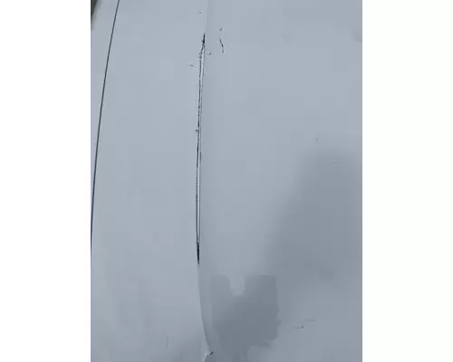 FREIGHTLINER Cascadia 126 Hood