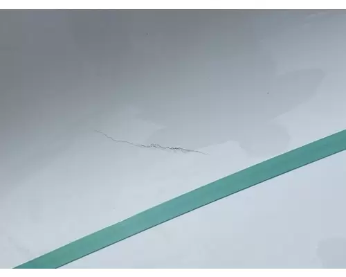 FREIGHTLINER Cascadia 126 Hood