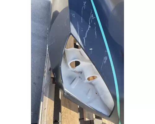 FREIGHTLINER Cascadia 126 Hood