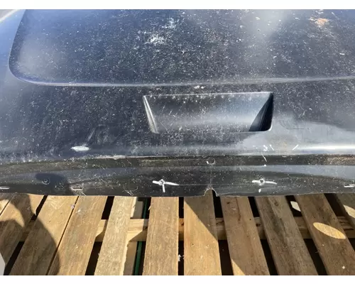 FREIGHTLINER Cascadia 126 Hood