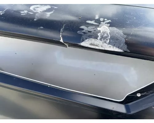 FREIGHTLINER Cascadia 126 Hood
