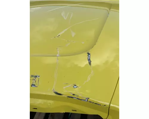 FREIGHTLINER Cascadia 126 Hood