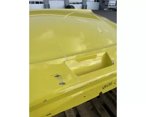 FREIGHTLINER Cascadia 126 Hood