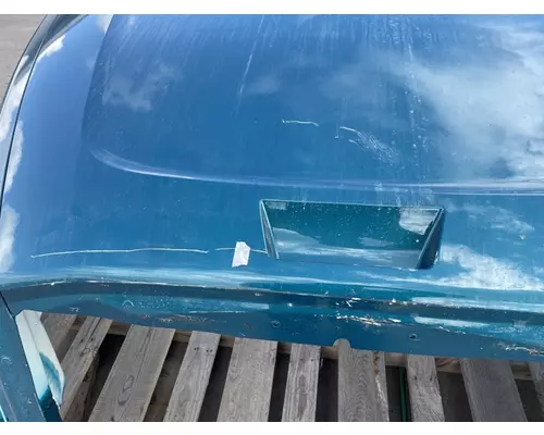 FREIGHTLINER Cascadia 126 Hood