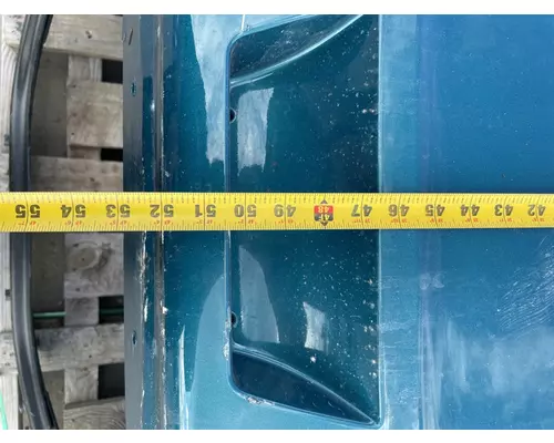 FREIGHTLINER Cascadia 126 Hood