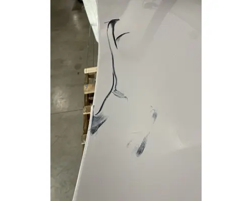 FREIGHTLINER Cascadia 126 Hood