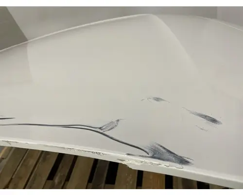 FREIGHTLINER Cascadia 126 Hood